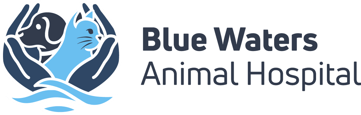 Blue Waters Animal Hospital