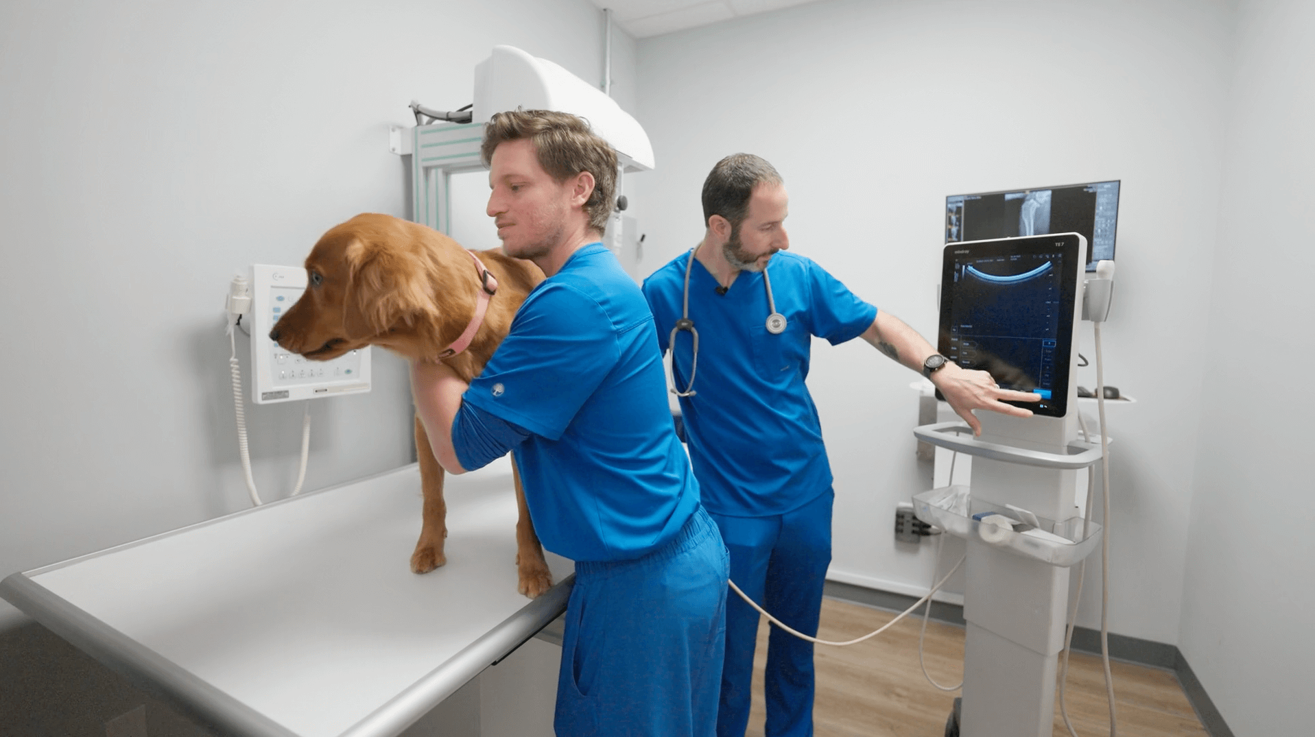 Vet And Tech With Dog