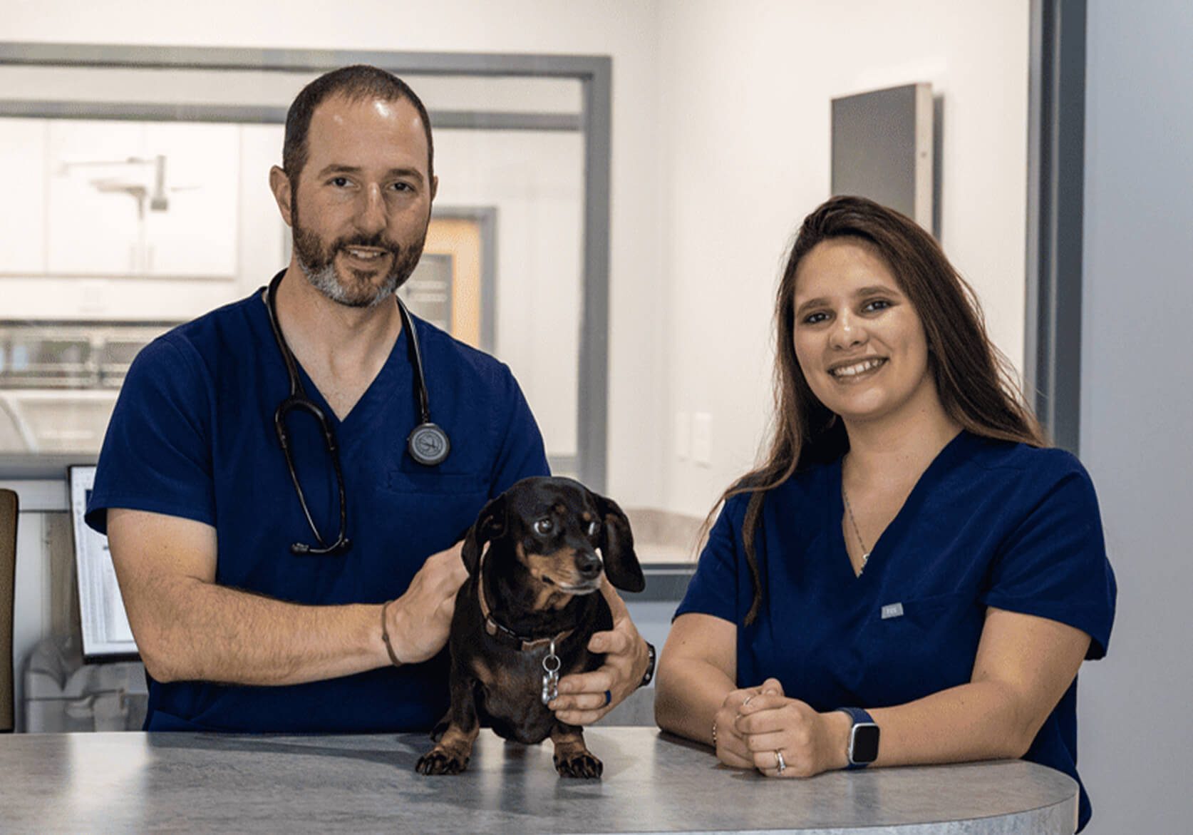 male vet and female tech posing with small brown dog