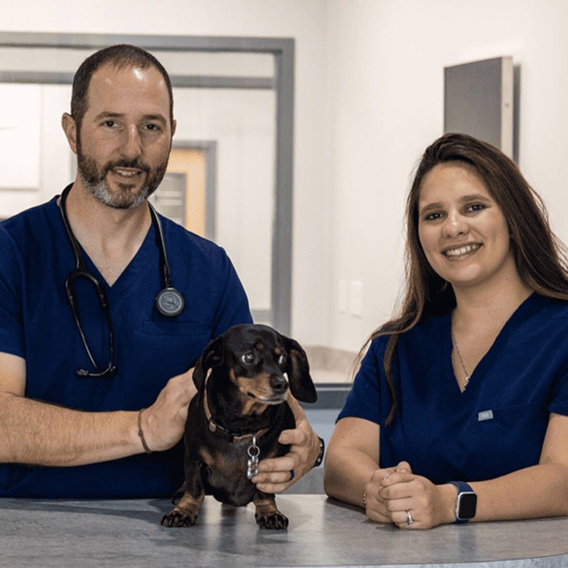 male vet and female tech posing with small brown dog