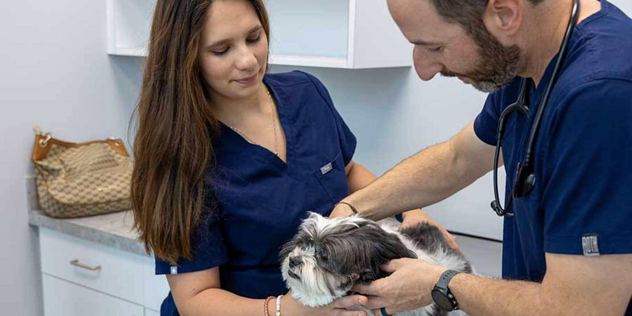 closeup of a male vet examining a fluffy dog with the help of a vet tech