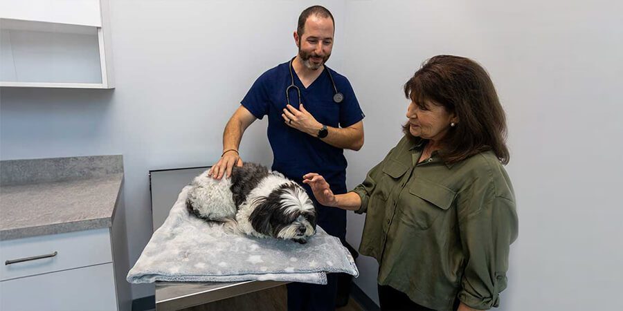 Vet With Owner And Dog